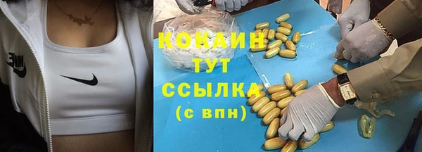 амф Абаза