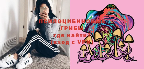 индика Абдулино