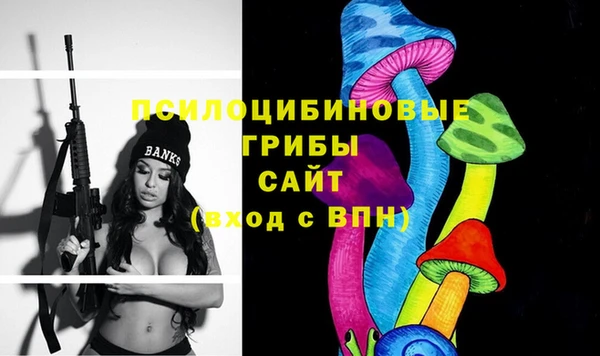 индика Абдулино